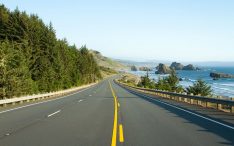 What is the best paper or app travel guide for organizing a trip?