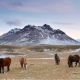 Travel to Iceland