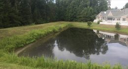 The Benefits of Enzyme Therapy for Ponds and Lakes