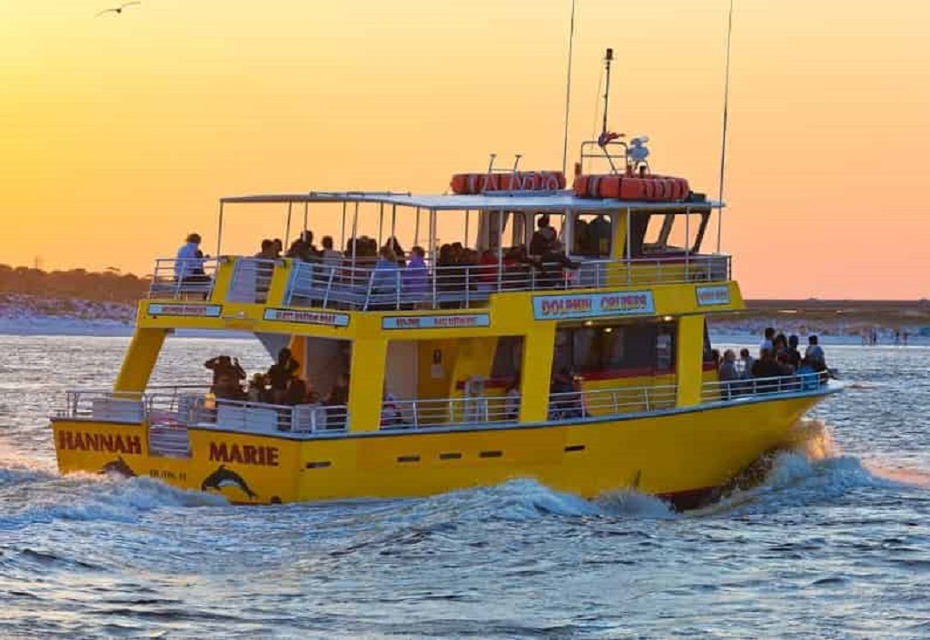Go On A Dolphin Cruise