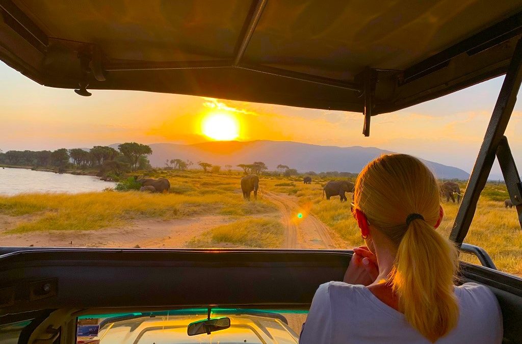 Why safari tours might protect the environment