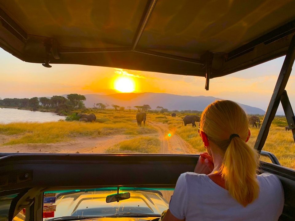 Why safari tours might protect the environment