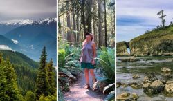 Unveiling the Enchantment: Exploring Olympic National Park
