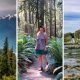 What activities can people do at Olympic National Park?