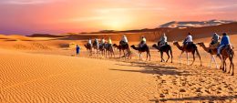 Best Time to Visit Arabian Peninsula? Travel And Entertainment Planning Guide