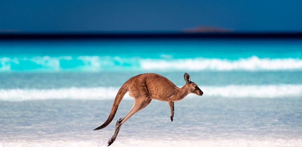 Two Weeks in Australia: What are the must-visit places in Australia for first-time visitors?