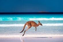 Two Weeks in Australia – A Guide for First Time Visitors