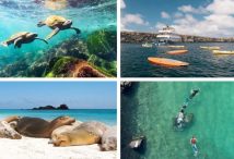 Best Time to Visit Galapagos: Ideal Months for Wildlife And Adventure