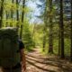 A hiker wearing a green mid-size hiking backpack walking along a forest trail on a sunny day